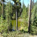 hidden Pond Hummocks