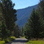 Portal Creek FS Road