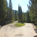 Portal Creek FS Road