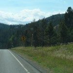 Portal Creek Road - FS 984