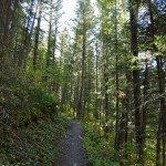 Gallatin Riverside Trail