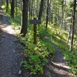 Gallatin Riverside Trail