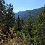 Gallatin Riverside Trail View