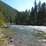 Gallatin Riverside Trail