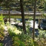 The 35 MPH Bridge on 191