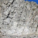 Climbing Beehive Peak Worker Bee