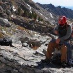 Climbing Beehive Peak Worker Bee