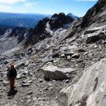 Climbing Beehive Peak Worker Bee