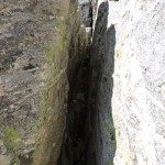 Climbing Beehive Peak Worker Bee