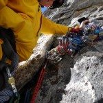 Patagonia Simple Guide Hoody Review