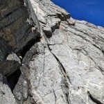 Climbing Beehive Peak Worker Bee