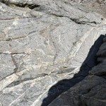 Climbing Beehive Peak Worker Bee