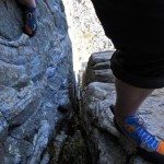 Climbing Beehive Peak Worker Bee