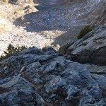 Climbing Beehive Peak Worker Bee