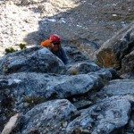 Climbing Beehive Peak Worker Bee