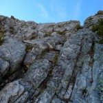 Climbing Beehive Peak Worker Bee