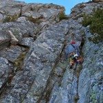 Climbing Beehive Peak Worker Bee