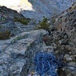 Climbing Beehive Peak Worker Bee