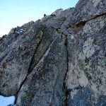 Climbing Beehive Peak Worker Bee