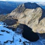 Climbing Beehive Peak Worker Bee