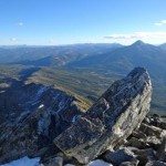 Climbing Beehive Peak Worker Bee