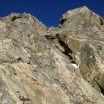 Climbing Beehive Peak Worker Bee