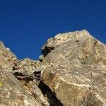 Climbing Beehive Peak Worker Bee