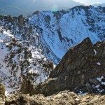 Climbing Beehive Peak Worker Bee