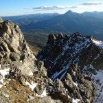 Climbing Beehive Peak Worker Bee