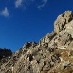 Climbing Beehive Peak Worker Bee