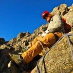 Climbing Beehive Peak Worker Bee