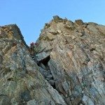 Climbing Beehive Peak Worker Bee