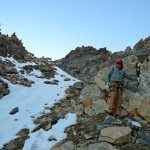 Climbing Beehive Peak Worker Bee