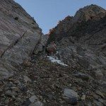 Climbing Beehive Peak Worker Bee