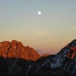 Climbing Beehive Peak Worker Bee