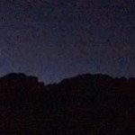 Climbing Beehive Peak Worker Bee