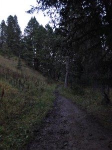 Sphinx Mountain and the Helmet Trail