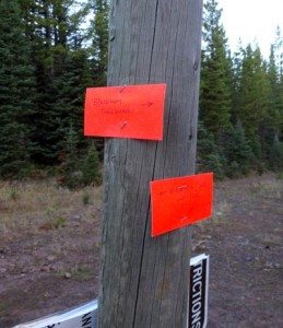 Hiking Mount Blackmore