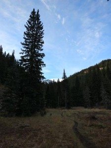 Hiking Mount Blackmore