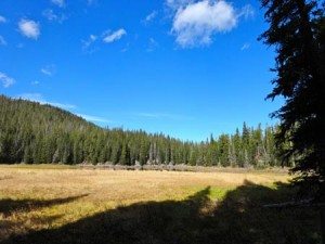 Hiking Mount Blackmore