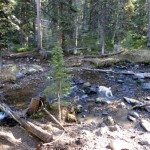 The Sentinel - Gallatin Range - MT