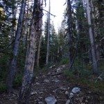 The Sentinel - Gallatin Range - MT