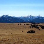 Gallatin Range