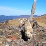 The Sentinel - Gallatin Range - MT