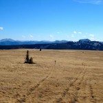 The Sentinel - Gallatin Range - MT