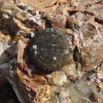 Garnet Mountain in the Gallatin Range, MT