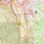 Climbing Beehive Peak Worker Bee