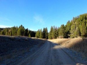 Cinnamon Mountain Lookout Trail