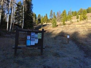Cinnamon Mountain Lookout Trail