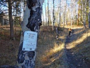 Cinnamon Mountain Lookout Trail